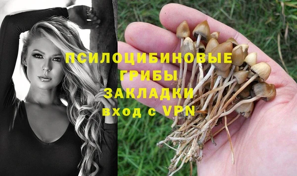 PSILOCYBIN Арсеньев
