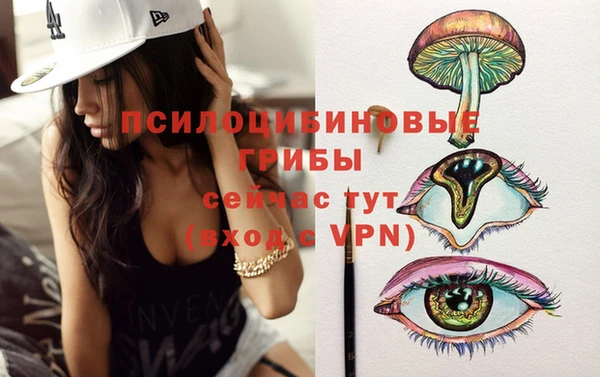 крисы Аркадак
